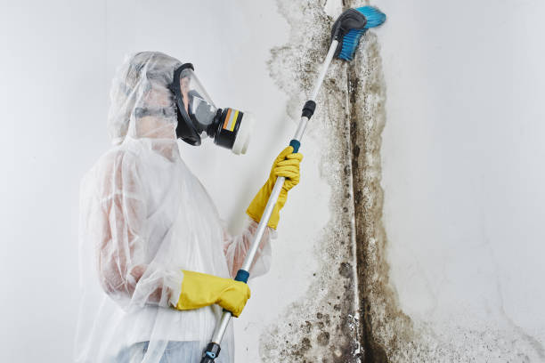 Water damage restoration insurance claims in Carrollton, KY